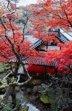 亚运足球今天各场比分-亚运足球激战正酣，今日赛场风云变幻，各场比分全解析